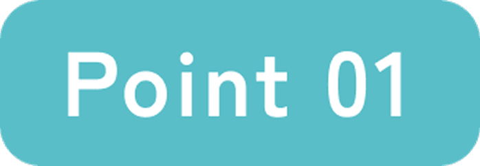 point 01