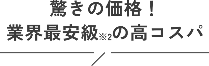驚きの価格！業界最安級の高コスパ