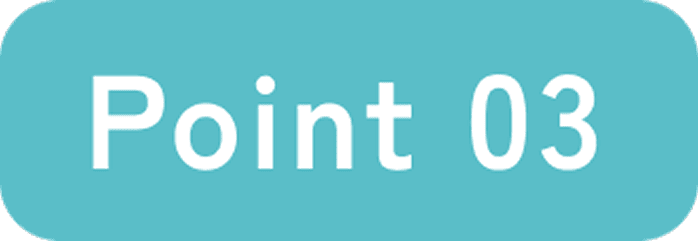 point 01